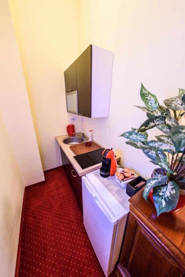 Apartament Baroc ティミショアラ エクステリア 写真